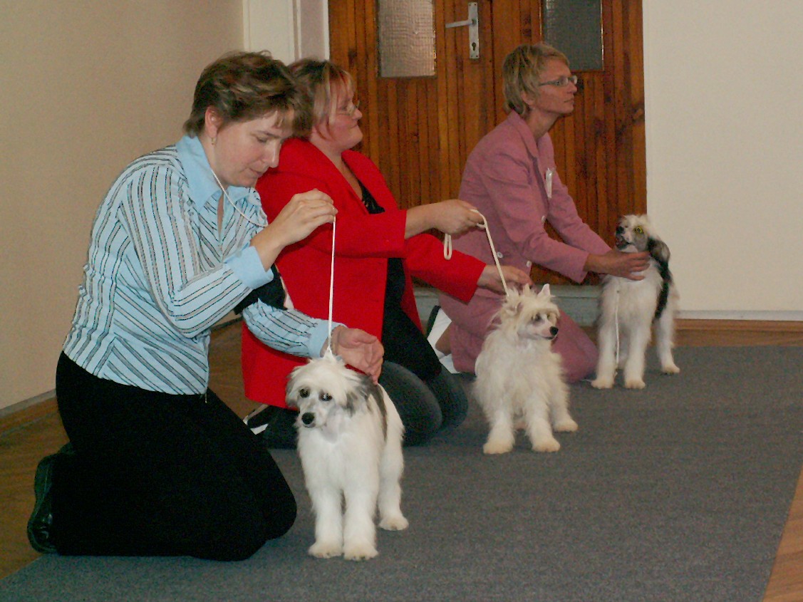 22.9.07 Pohořelice (9).JPG